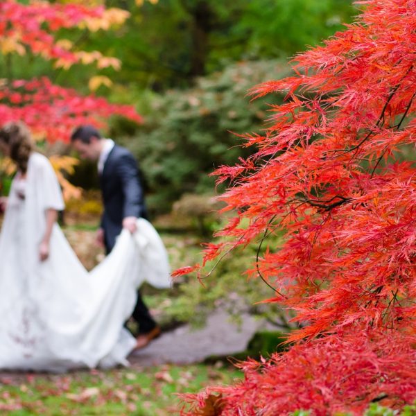Herbst Hochzeit wedding-1017459-1280